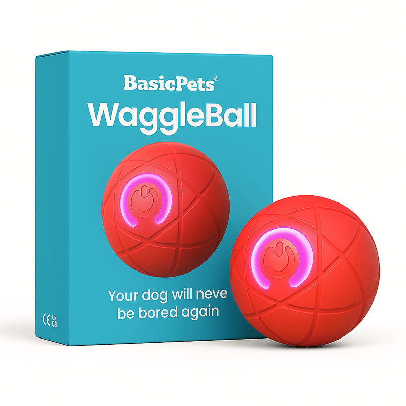 WaggleBall - interactief hondenspeelgoed