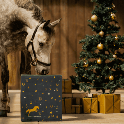 Paarden Adventskalender - 2025