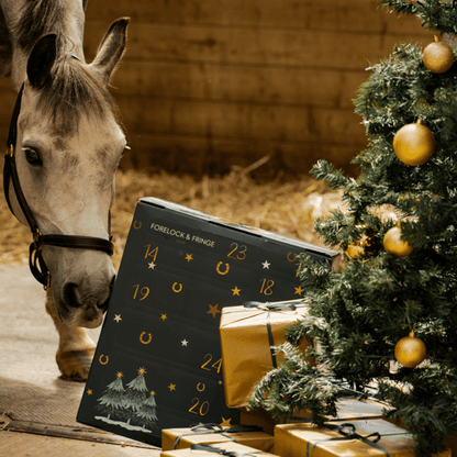 Paarden Adventskalender - 2025