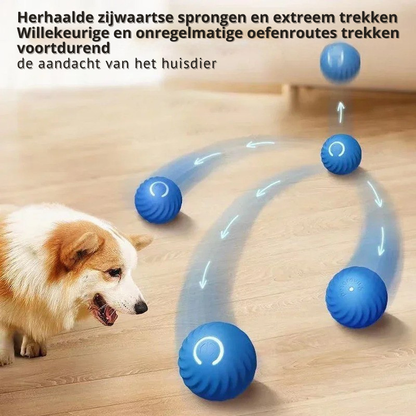 WaggleBall - interactief hondenspeelgoed