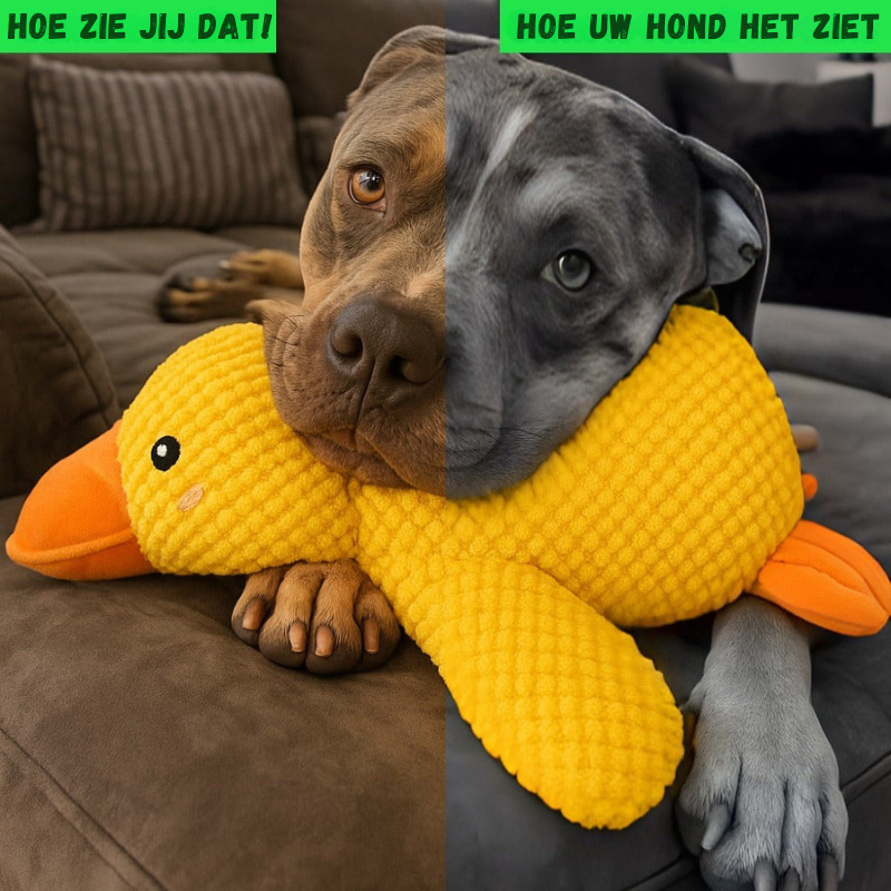 LittleDuck™ | Anti-Stress voor honden