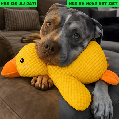 LittleDuck™ | Anti-Stress voor honden