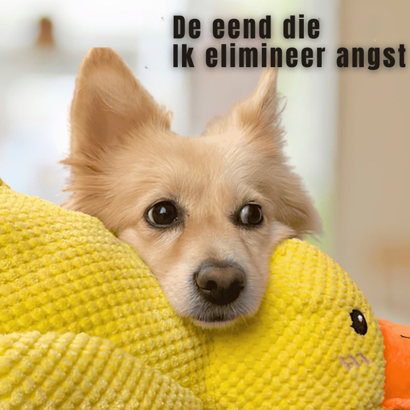 LittleDuck™ | Anti-Stress voor honden