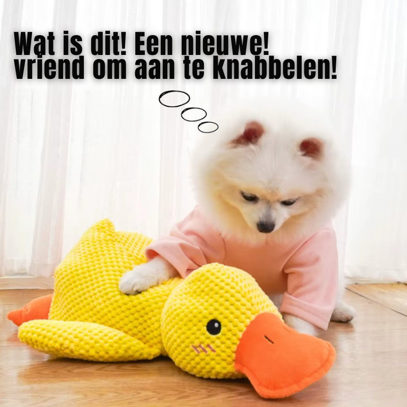 LittleDuck™ | Anti-Stress voor honden