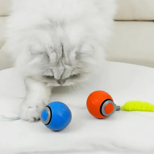 Speedy tail 2.0