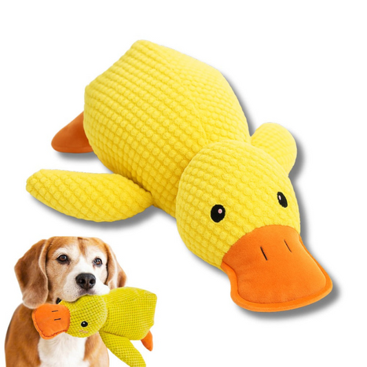 LittleDuck™ | Anti-Stress voor honden