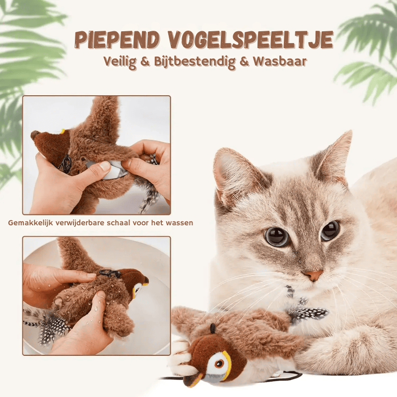 Piepend vogelspeeltje voor katten