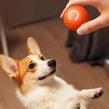 WaggleBall - interactief hondenspeelgoed