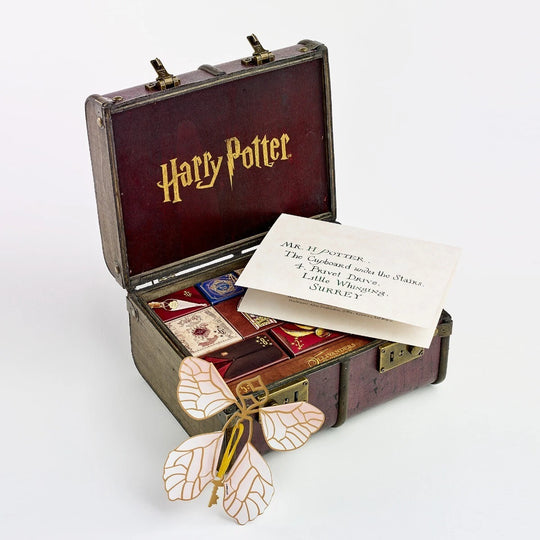 Harry Potter betoverende adventskalender – 24 dagen magie